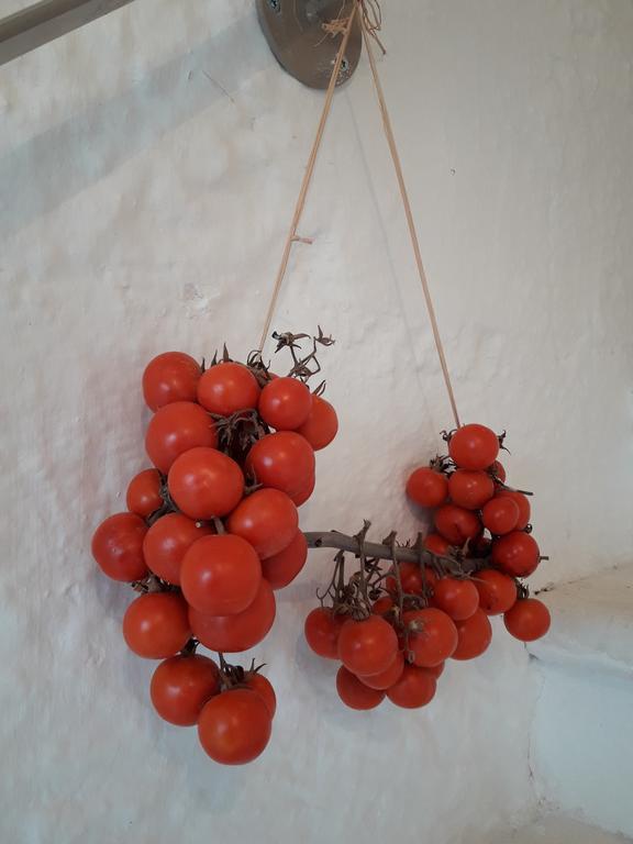 Biancadamare * Ostuni