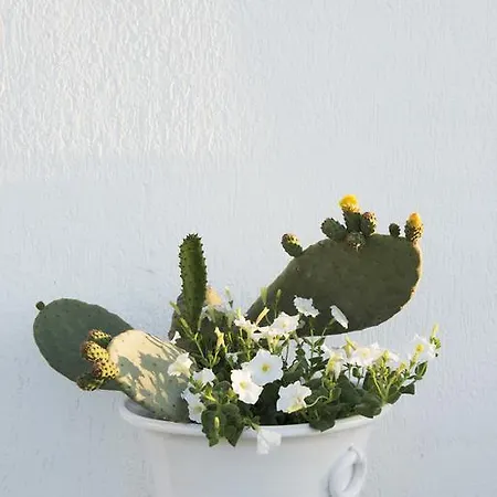 Biancadamare Bed & Breakfast Ostuni Exterior photo